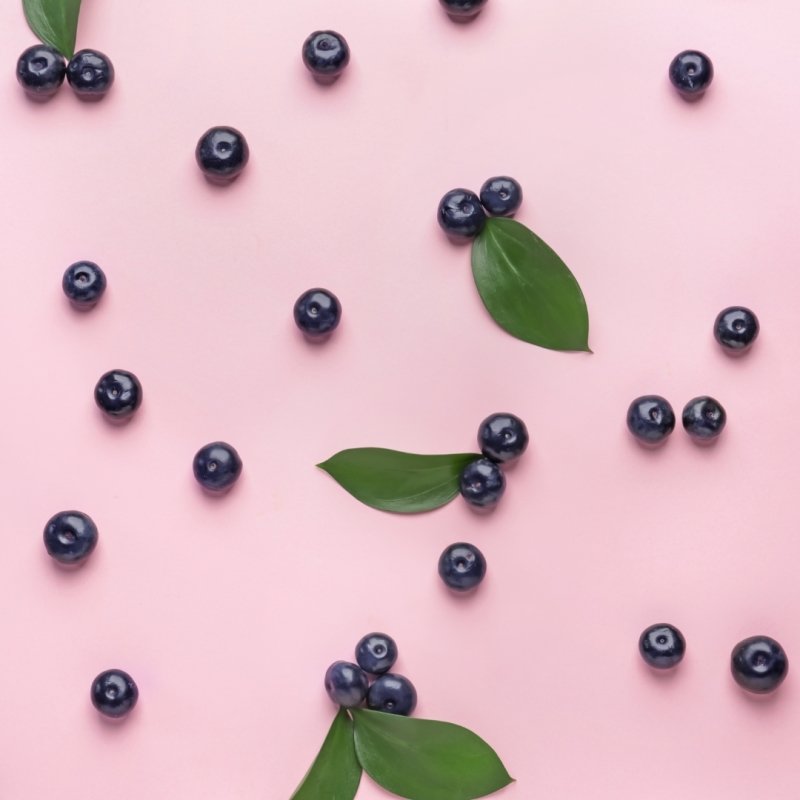 Acai extract: a precious ingredient for hair protection - Nutree Cosmetics
