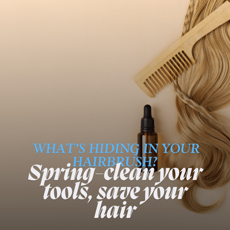 Spring Cleaning for Your Hairbrushes: Bacteria You Didn’t Know About - Nutree Cosmetics