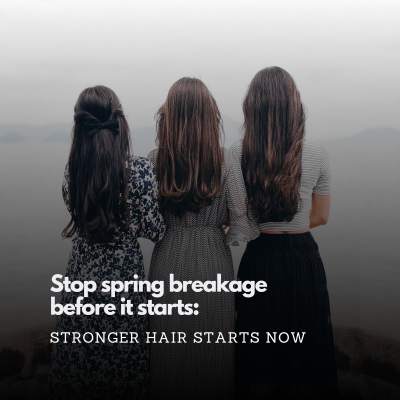 Why Your Hair Breaks More in Spring (and How to Stop It) - Nutree Cosmetics