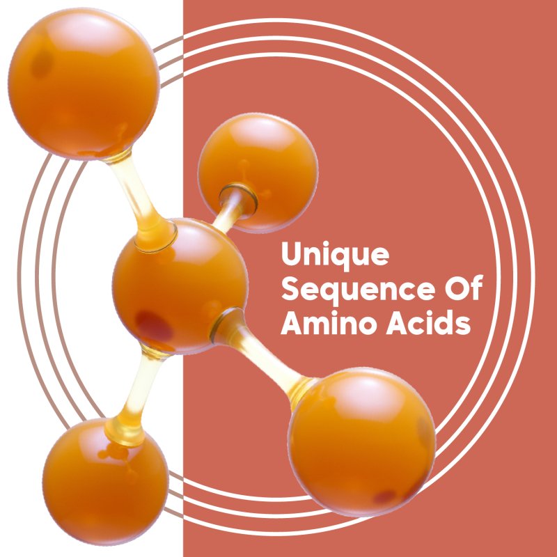 B24 Molecular Peptides – Leave-in molecular hair mask 3.38 fl oz. - Nutree Cosmetics