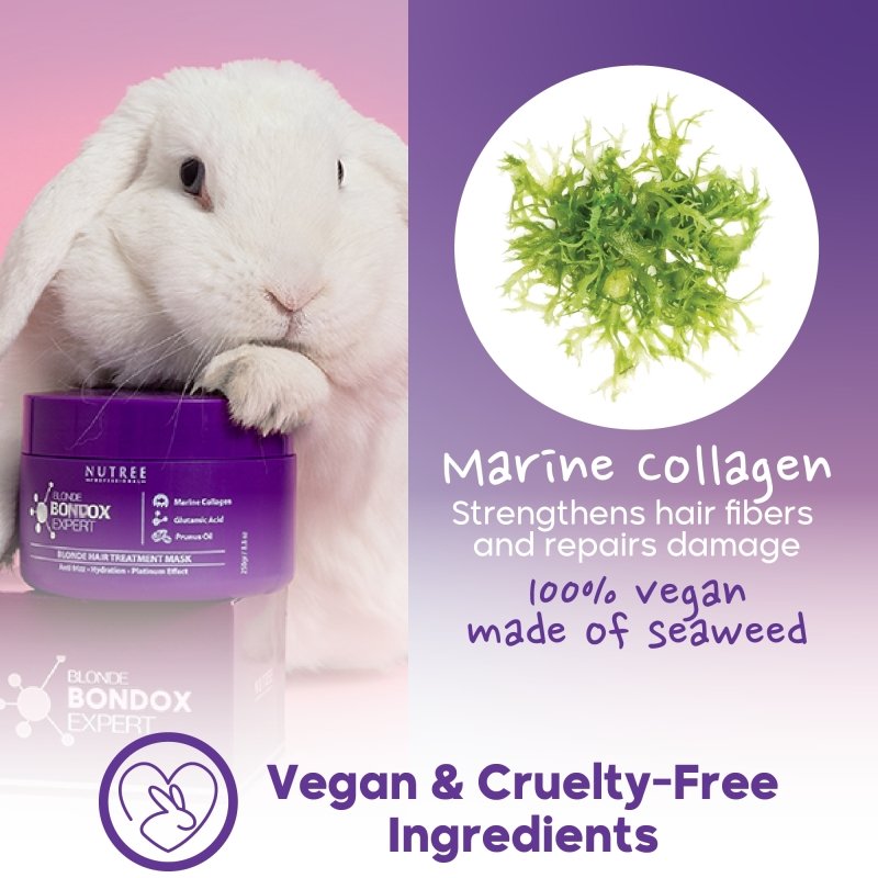 Blonde Expert ﻿Hair﻿ Mask for Blonde Hair 2.82 oz / 80 grams - Nutree Cosmetics